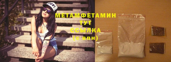 прущие грибы Касимов