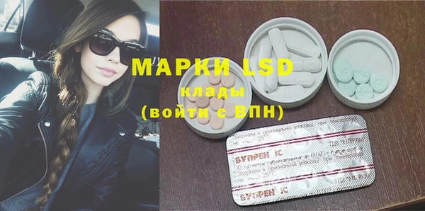 прущие грибы Касимов