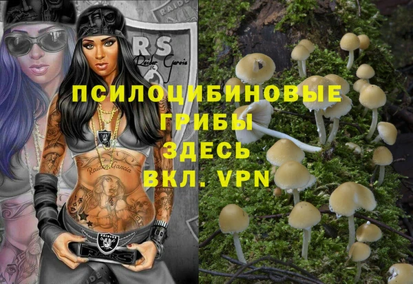 Альфа ПВП Карпинск