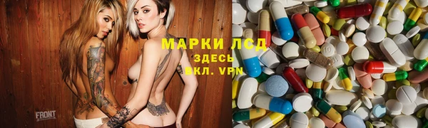 прущие грибы Касимов