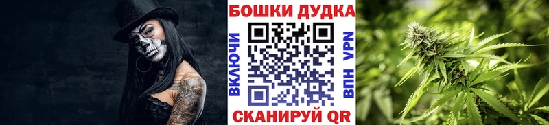 Купить закладки  Малаховка  Канабис сатива 